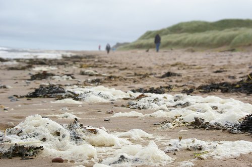 sea  foam  beach