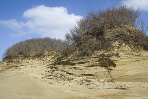sea  dunes  sand