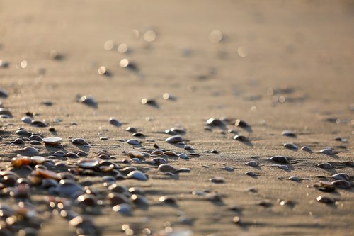 sea  beach  summer