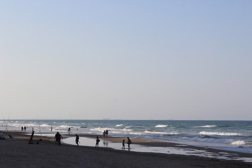 sea  branding  swimming