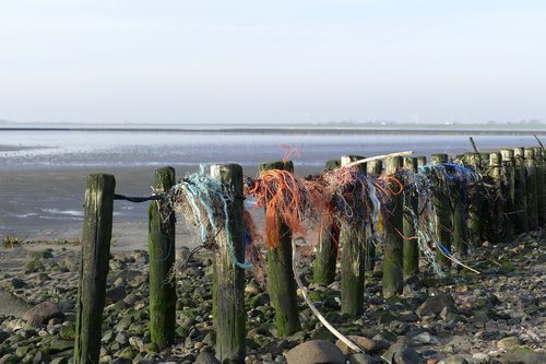 sea  north sea  wadden sea