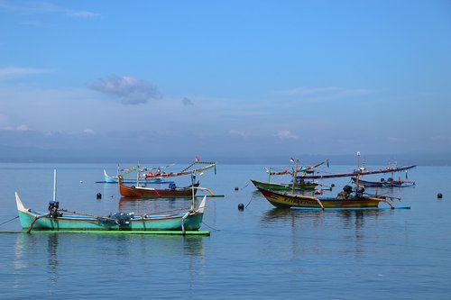 sea  fishing  boats