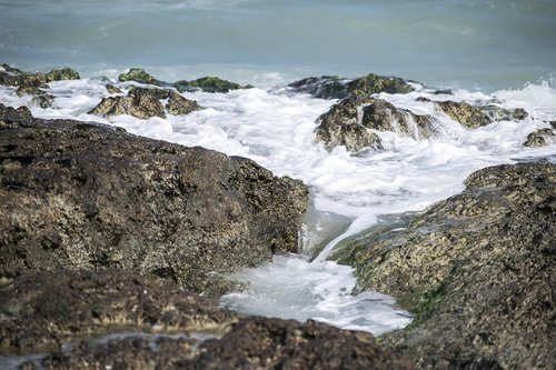 sea  rock  rocks