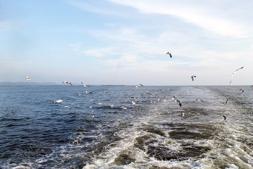 sea  bay of bengal  travel