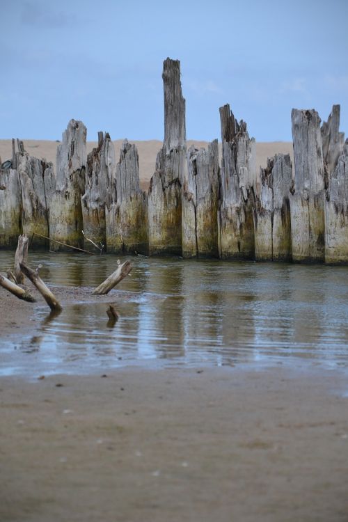 sea beach sand