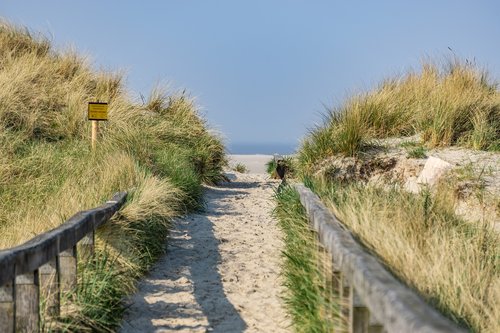 sea  beach  sand