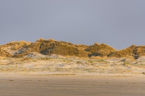 sea  beach  sand