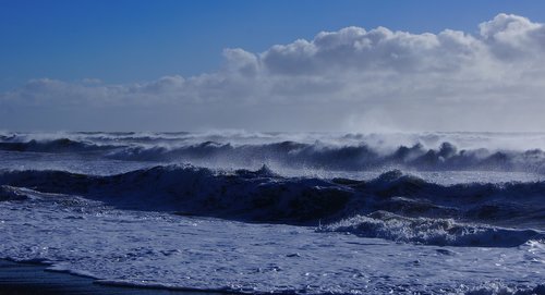 sea  beach  wave