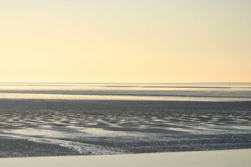 sea beach ameland