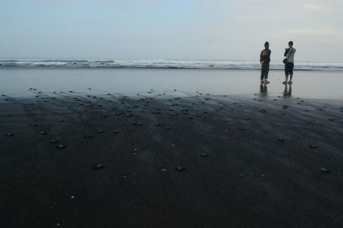 sea morning beach