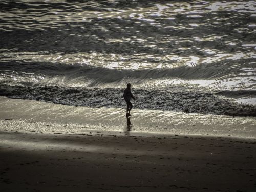 sea beach landscape