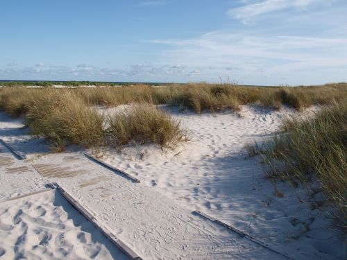 sea dune dune grass