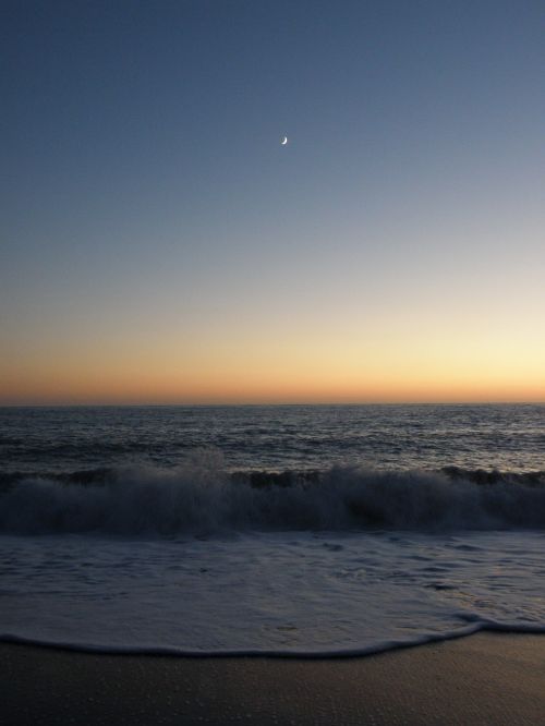 sea beach waves