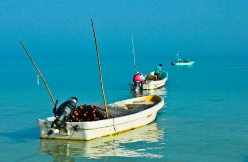 sea boats color