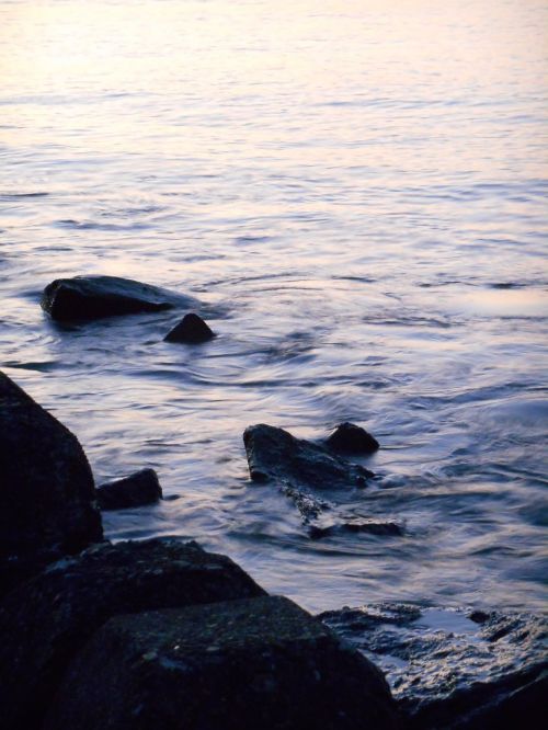 sea stone rock