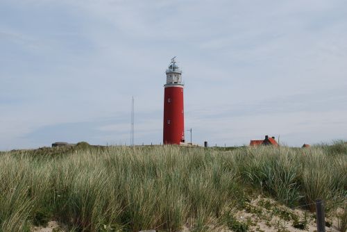 sea beach landscape