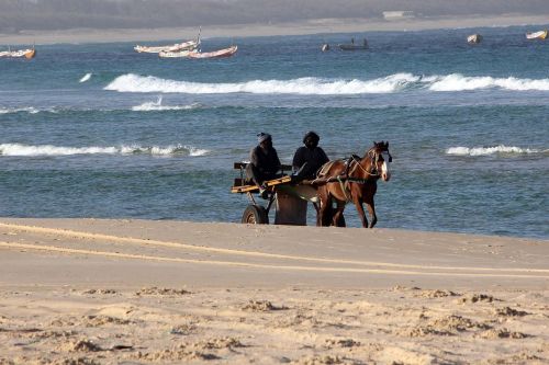 sea beach cart