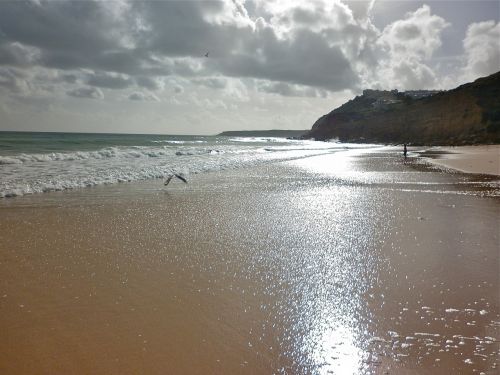 sea beach sand