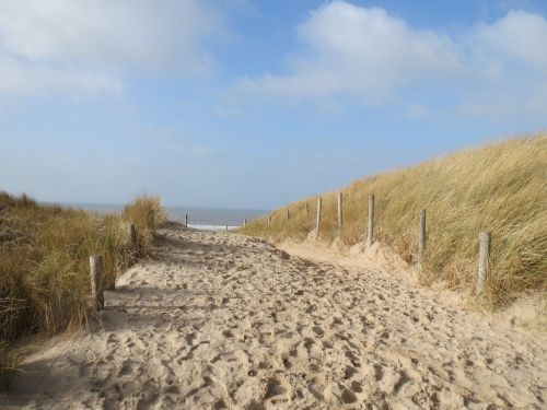 sea beach dune