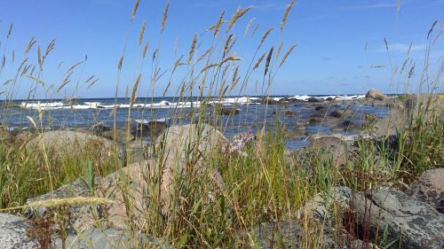 sea nature gotland