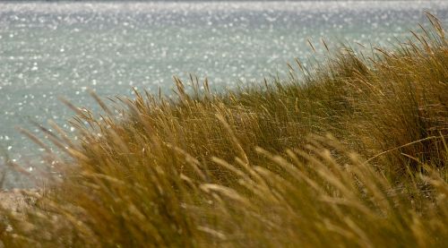 sea baltic sea coast