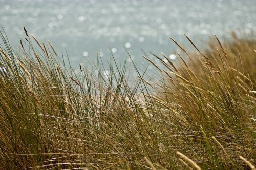 sea baltic sea coast