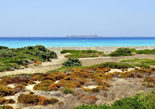 sea country horizon