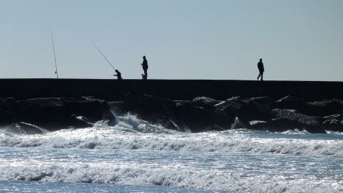 sea back light angler