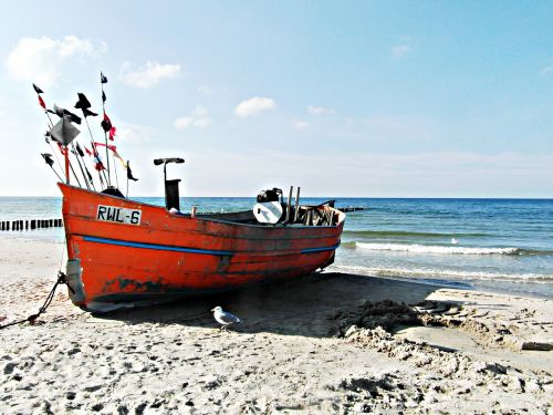 sea beach cutter