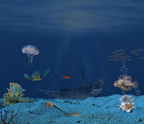 sea ​​bottom photocomposition ocean
