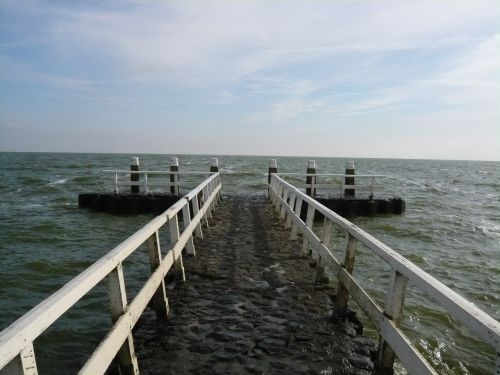 sea bridge sea web