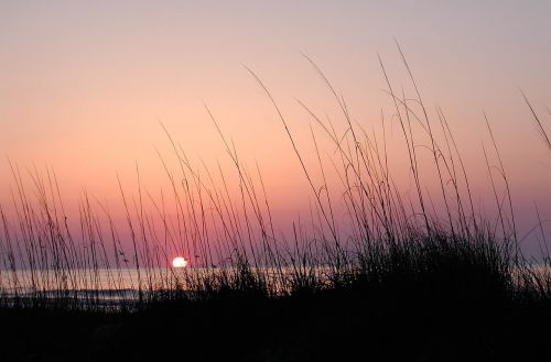 sea grass sunrise hilton head