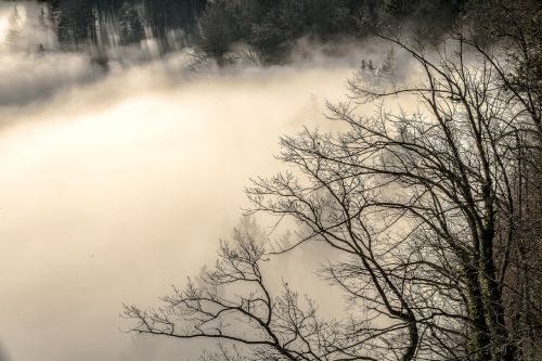 sea of fog alpine landscape