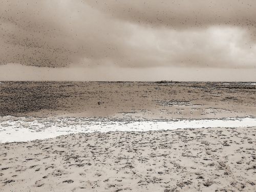 sea on canvas sea sand sepia grey scales sea