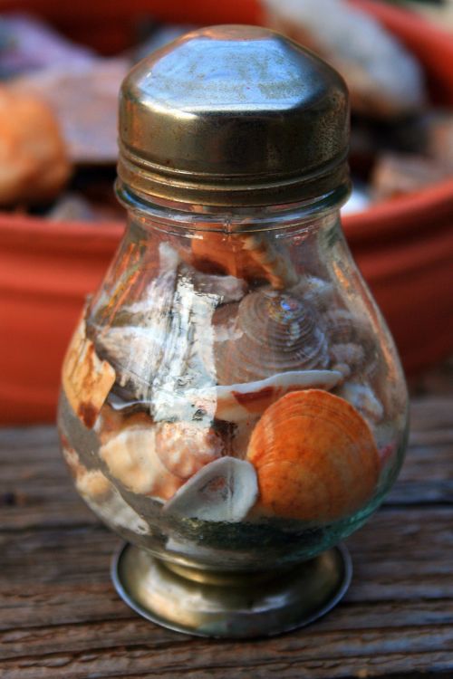 Sea Shells In Glass Container