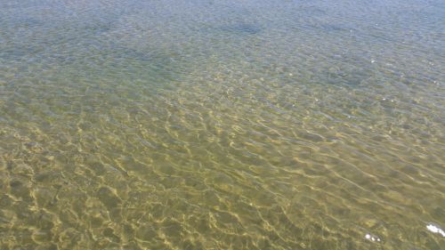 Sea Water Beach Wave Clarity