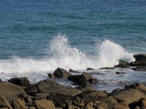 Sea Wave Breaking