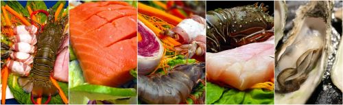 seafood collage food