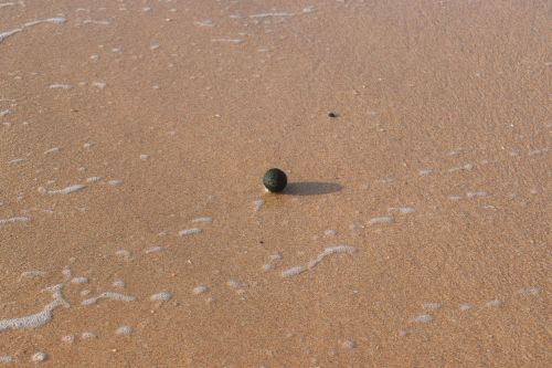 seafood sand ball