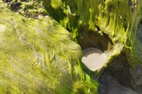 seagrass cliffs sand