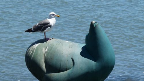 seagull seal statue