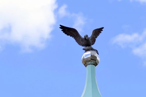 seagull symbol sign