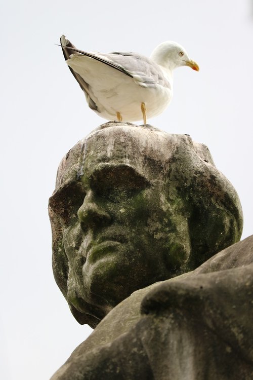 seagull  statue  rest