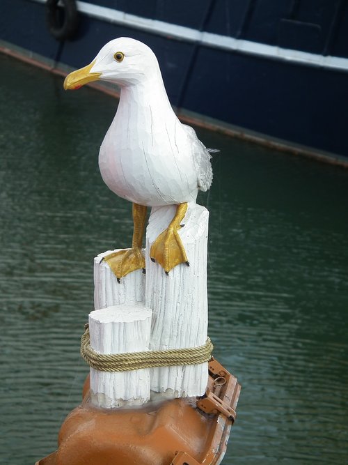seagull  wood  carved