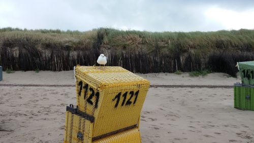 seagull north sea beach chair