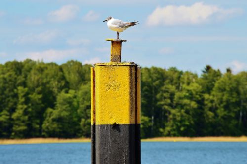 seagull bollards landing bridge