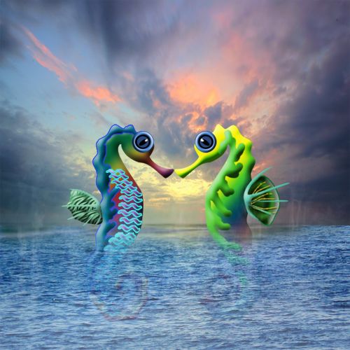 seahorse water sea