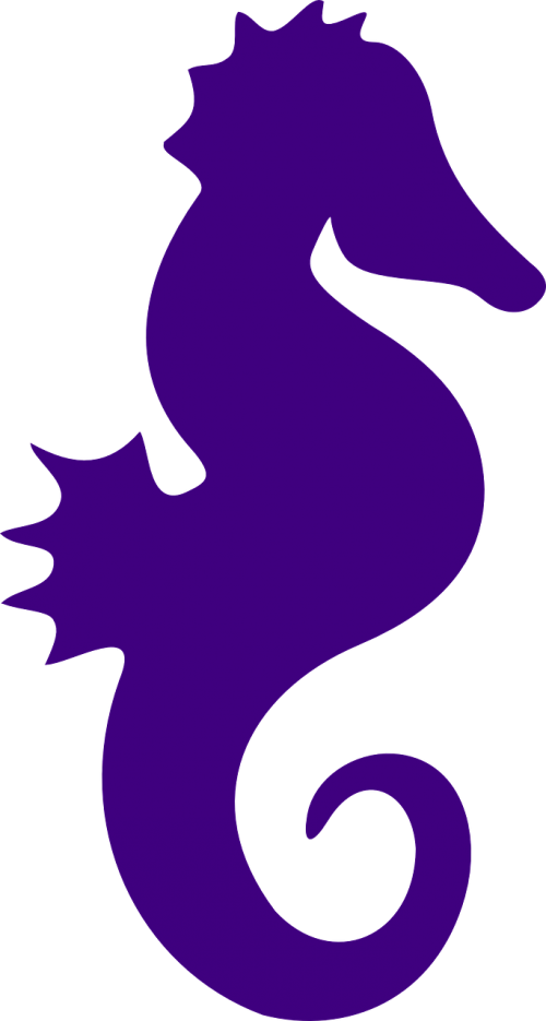 seahorse purple fish