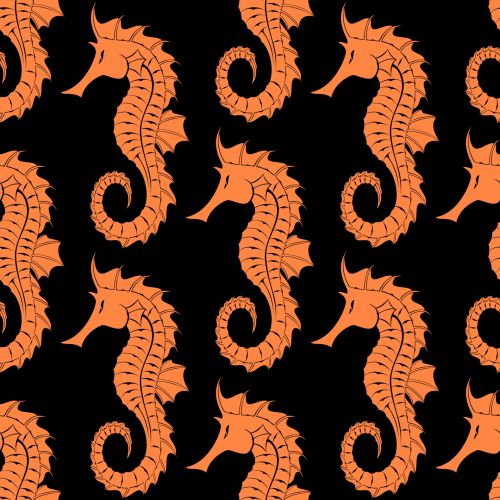 Seahorse Background Wallpaper