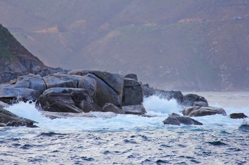 seal island thousands